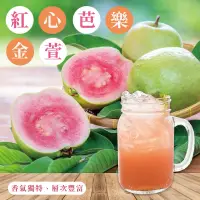 在飛比找iOPEN Mall優惠-<常溫>【大江生鮮】<紅心芭樂奶香金萱> 冷泡茶包 隨身包.