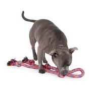 All Day Loop 5 Knot Twin Rope Tug Dog Toy 85cm