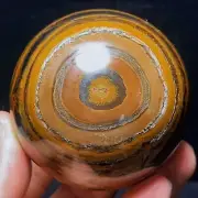 Rare 461G Natural Polished Yellow Tiger Sphere Agate Crystal Ball Healing L2976