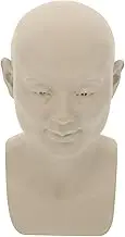 HOODANCOS Sketch Teaching Sculpture Bust Model for Artists Professional Drawing Aid Lightweight and Realistic Design for Skill Development for Hobbyists and Art Students