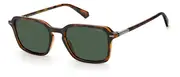 POLAROID-PLD 2110/S-86-5320-SUNGLASSES