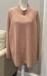 NWT Eileen Fisher 100% Extra Fine Merino Wool Turtle Neck Raglan Top Sz2X DKPDR