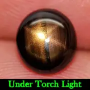 Certified Star Sapphire Golden 6 Ray 2.26 Ct Oval Cab 6.18 x 7.46 Mm Natural Gem