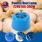 2Pcs Poultry Heat Lamp Bulb Warming Light For Brooder Piglets Chicken Pet 220V S