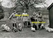 Dogs, Homeless, rescued from Wartime London Blitz - Apl 1941 Ruislip Sanctuary