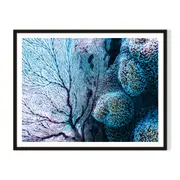 Coral Fantasy Framed Wall Art - Black