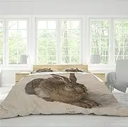 RIVINE Albrecht düRer Children's Bedding Set Girls Cute Cartoon Sketch Rabbit Duvet Cover Set 3 Pieces Soft Duvet Cover Set with 2 Pillows Shams 250 x 200 cm