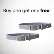 SMALL Waterproof Diggs Dog Collars Slate GREY New w/ tags cats and dogs