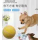 台灣24H出貨 寵物玩具球 自動球 智能電動球 狗狗玩具 貓玩具 逗貓球 LED閃光球 遙控 USB充電 寵物玩具