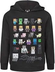 Minecraft Sprites Boy's Black Hoodie