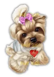 Sublimation Print Yorkshire Terrier Valentine Ready to Press Heat Transfer