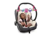 Bright Starts Busy Birdies Carrier Toy Bar Musical Take-Along Toy with Lights, Ages Newborn +, Pink