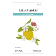Spellbinders Citrus Spritz Etched Dies from the La Dolce Vita Collection