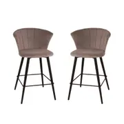 HomeStar Set of 2 Calliope Velvet Fabric Modern Kitchen Counter Bar Stool - Grey