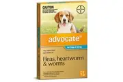 Flea & Wormer Spot-on for Dogs 4-10kg, Single Dose