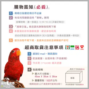 《寵物鳥世界》LillipHut麗利寶35舒適快潔透亮鳥籠(995) 2230 防潑灑 非SANKO 鸚鵡籠SY171