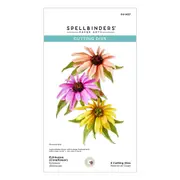 Spellbinders Echinacea (Coneflower) Etched Dies from the Summer Solstice Garden Collection by Susan Tierney-Cockburn