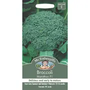 Mr Fothergill's Broccoli Marathon F1 Vegetable Seeds