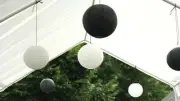40x 30cm black white paper lantern engagement wedding birthday party venue decor
