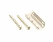 Authentic Floyd Rose 1000/Special Series Tremolo Spring Claw and Screws