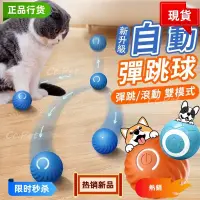 在飛比找蝦皮購物優惠-貓狗日記 寵物跳跳球 貓咪滾滾球 自動逗貓球 USB充電 狗