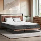 Bedra Double Mattress King Single Queen Bed Tight Top Bonnell Spring Bed 21CM