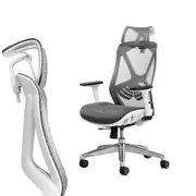 MIUZ Ergonomic Mesh Office Chair (Grey)