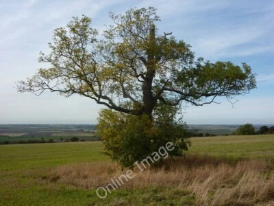 Photo 6x4 Tree on Saxby Hill Saxby All Saints From the lane with extensiv c2009