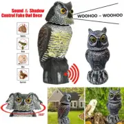 360°Rotating Real Owl Decoy Deterrent Head Sound Bird Pigeon Crow Scarer Statue
