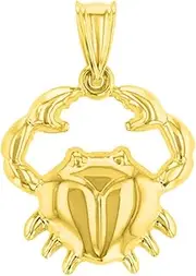 [Jewelry America] High Polish 14k Yellow Gold 3D Cancer Zodiac Sign Charm Crab Animal Pendant