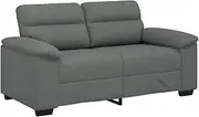 vidaXL 2-Seater Sofa - Dark Grey Fabric Couch with Sturdy Frame, Modern Lounge Settee for Living Room/Office (160x81x84 cm)