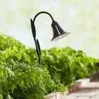 Tulip Low Voltage 27" High LED Landscape Light