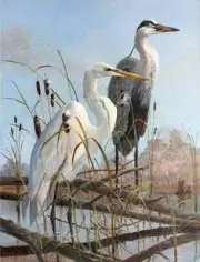 Heron Egret Art Accent & Decor Tile Robert Binks Birds REB035AT