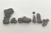 Naturally Letter Shaped FAMILY Rocks Beach Stones wedding Word Pebble art/craft