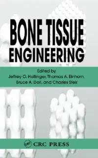 在飛比找博客來優惠-Bone Tissue Engineering