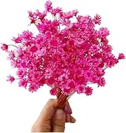 Natural Dried Flowers - Brazilian Small Star Daisy Decorative Mini Chamomile Bouquet for Wedding Floral Decoration(Pink)