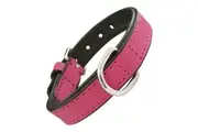 Dog Collar by Gloria Padded Fuchsia 40 x 2 Cm