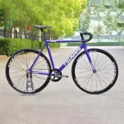 Fixed Gear Bike Tsunami Track Single Speed Racing Bicycle Aluminum Alloy Frame