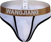 [Legou] Men's Nylon Low Rise G-String Bulge Pouch T-Back Briefs