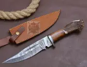 Handmade Stag knife Damascus Steel Knife with Sheath