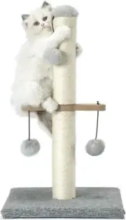 PAWSFANS Cat Scratching Post,Small Scratch Post 21inches for kittens, Grey