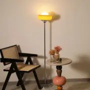 Bauhaus style Vintage Egg art Glass Floor Lamp Standard Lamp Living room Lights