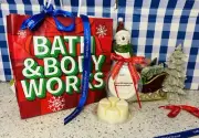 Bath and Body Works Wax Melts 2.4oz Eucalyptus Snowfall