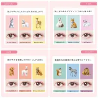 在飛比找蝦皮購物優惠-Dolly Wink SALON EYE LASH 動物 假