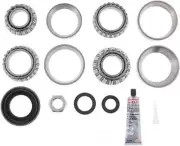 Differential Rebuild Kit-FSGR DANA Spicer 10055883