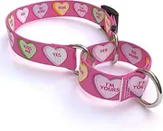 Yellow Dog Design Sweethearts Martingale Dog Collar-Size Large-1 Inch Wide and fits Neck Sizes 18 to 26 inches