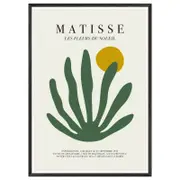 Galrie Matisse's Les Fleurs du Soleil Stunning - Elegant Botanical Art Print Home Decor, Black Frame, 70 x 100cm (28 x 40inch)