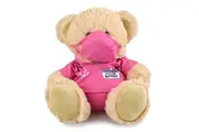 Doctor Teddy Bear Pink Scrubs - Korimco