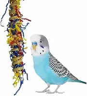 SUPERBIRD Fiesta Millet Holder, 22.5x3.5cm