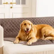 100% Double Sided Waterproof Dog Blanket Soft Pet Bed Cover Reversible Protec...